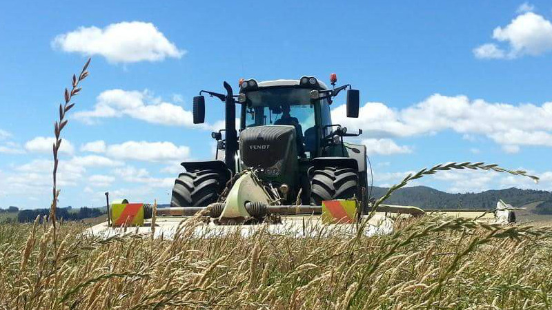 Mowing